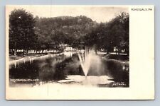 IRVING'S CLIFF HONESDALE, PA. POSTCARD picture