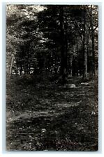 1938 Forest Path View Camp Hebron Massachusetts MA RPPC Photo Vintage  Postcard picture