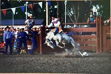 Brush Colorado Rodeo Cowboy in Action Fort Morgan County Vintage 6x4 Postcard picture
