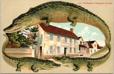 ALLIGATOR BORDER, The Museum, ST. AUGUSTINE, Florida Postcard - S 550 picture