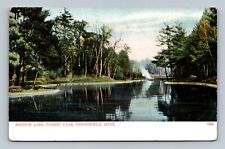 Springfield Massachusetts Forest Park Mirrow Lake Scenic Landmark Postcard picture