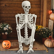 5.4FT Poseable Skeleton Prop Life Size Halloween Human Bones Skeleton Supplies   picture