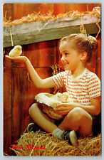 Postcard New Friends Young Girl & Baby Chickens Farm Fowl Unposted picture