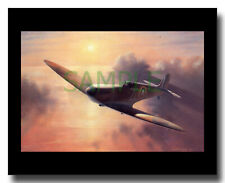 Supermarine Spitfire Mk 1a of 222 Squadron framed picture Charles Thompson picture