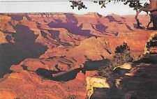 Vintage Arizona Chrome Postcard Fred Harvey Grand Canyon National Park picture
