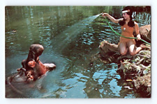 1950'S. HOMOSASSA SPRINGS INDIAN MAIDEN. WITH LUCIFER THE HIPPO. POSTCARD ST1 picture