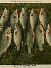 Vintage 1932 Lithograph Ephemera Postcard Humor Mess Of Fish Near Minocqua, WISC picture