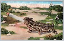 1941 TEXAS HORNED TOAD SMOKING A CIGARETTE*EXAGGERATED*HUMOROUS*BRADY POSTMARK picture