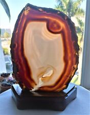 GEORGEOUS BRAZILIAN POLISHED RED GRAY LACE AGATE GEODE / SLAB 7
