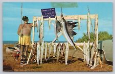 Marathon Florida, Nice Catch of Fish, Sport Fishing, Vintage Postcard picture