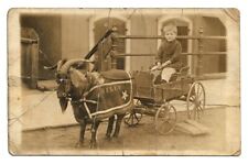 Antique Real Photo Postcard Boy In Wagon Pulled By Billy Goat RPPC picture
