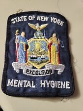 New York State mental hygiene picture