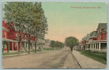 Hagerstown Maryland~Broadway~Nice Homes with Large Porches~1916 Postcard picture