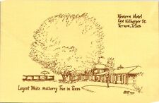 Vernon Texas Western Motel Largest White Mulberry Tree Unusual Color Postcard 6H picture