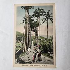 Cabbage Palms lining a Road with People walking Color Postcard Barbados ca 1910 picture