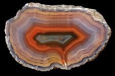 Coyamito AAA Grade Agate From Mexico Tight Banding, Parallax and High Contrast picture