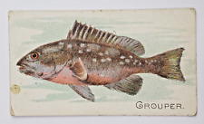 1910 ATC Fish Series Tobacco T58 Sovereign Grouper Cigarette Tobacco Trade Card picture