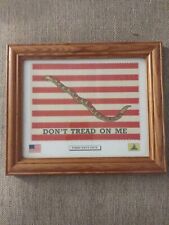 American Revolutionary War Flag. Don't Tread On Me Flag,1st Navy Jack picture