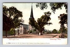 Cambridge MA-Massachusetts, Washington Elm, Antique, Vintage Souvenir Postcard picture