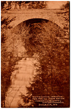 Postcard 1910 RPPC Cornell University Ithaca, NY Entrance Bridge and Falls picture