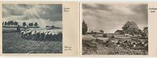 2 Antique/Vintage German Postcards Countryside Germany picture