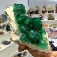 3.06LB Rare transparent GREEN cubic fluorite mineral crystal sample/China picture