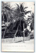 c1905 Tropical Street Scene Key West Florida FL, Palm Trees Fence Postcard picture