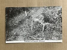 Postcard RPPC Spooner Wisconsin WI Whitetail Deer Fawn Greetings 1948 picture