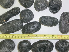 Black Indochinite Tektite Stone 50 to 100 gram size Large Pieces 1 Kg Lot picture