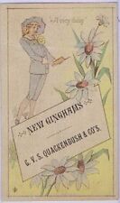 G.V.S. Quackenbush & Co's New Ginghams w/ Daisies, Victorian Trade Card 1880s picture
