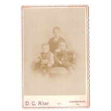 Cabinet Card Photograph Three Boys Siblings D.C. Alter Chambersburg PA Antique picture