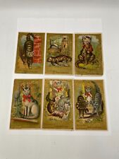 A.B. Seeley Trade Card Complete Set of 6 - Cat Fight Series / Victorian 1881 picture