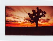 Postcard A whisper in the evening is the desert wind picture