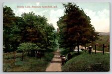 Civil War Bloody Lane Antietam Battlefield MD 1908 Postcard R22 picture