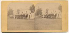 NEW YORK SV - Lake George - Mohegan House - Barnum 1860s picture