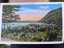 In The Beautiful White Mountains New Hampshire NH Vintage Postcard picture