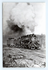 Virginia Blue Ridge Railway Near Piney River Unposted RPPC Real Photo Postcard picture