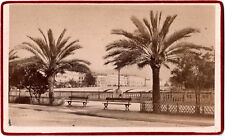 CDV Nice.Côte d'Azur.Quai St Jean Baptiste seen in the palm trees.Albuminated photo picture