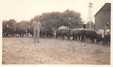 Vtg 1930's RPPC Farm Life with Cows and Farmers  picture