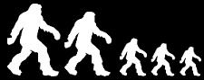 Bigfoot family funny vinyl decal car bumper sticker 007 picture