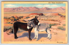 c1940s Linen Desert Sweethearts Cute Donkeys Burro Vintage Postcard picture