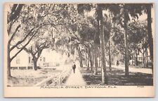 Main Street~Magnolia St~Daytona FL~Palm Trees Line Roads~Person On Horse~PM 1913 picture