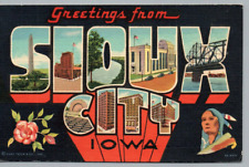 Sioux City Iowa Greetings from Large Letter Native American Flower Teich IA picture