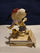 NEW-Jim Shore Peanuts: Snoopy & Woodstock At The Beach Figurine-- Summertime  picture