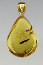 Great LARGE LEAF 12mm Fossil Inclusion BALTIC AMBER Gold Plated Pendant p160726 picture