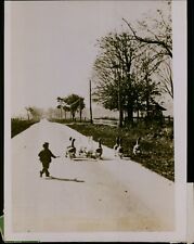 GA74 Orig Underwood Photo YOUTH GUARDS THANKSGIVING GEESE Young Boy in Country picture