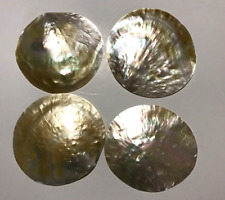 SET OF 4 - Large Polished Mother of Pearl Shell Plates Size Range 5