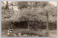 Sierra Madre California, Large Wisteria Vine, Vintage RPPC Real Photo Postcard picture