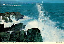 Beautiful New Brunswick Shore Postcard - Canadian Made picture