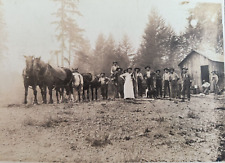 OLYMPIA WASHINGTON Territory ~ MESSEGEE family Logging CAMP lumberjack logs picture